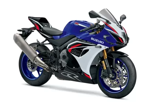 gsx-r1000r-c6f-diagonal-winglets-1024x683.jpg
