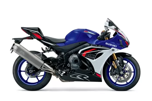 gsx-r1000r-c6f-right-winglets-1024x683.jpg