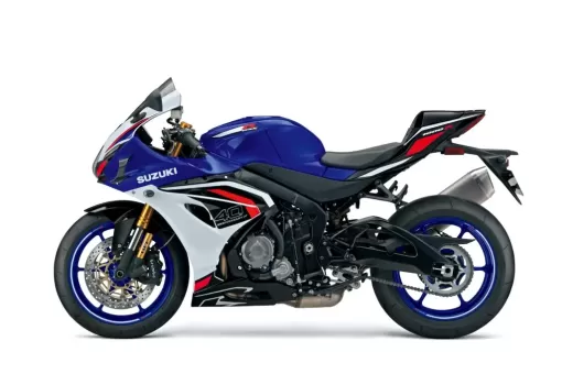 gsx-r1000r-c6f-left-winglets-1024x683.jpg