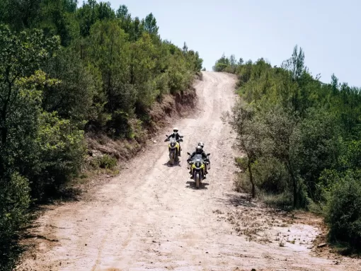 new-vstrom800de-action-1-mbo9svus4d.jpg